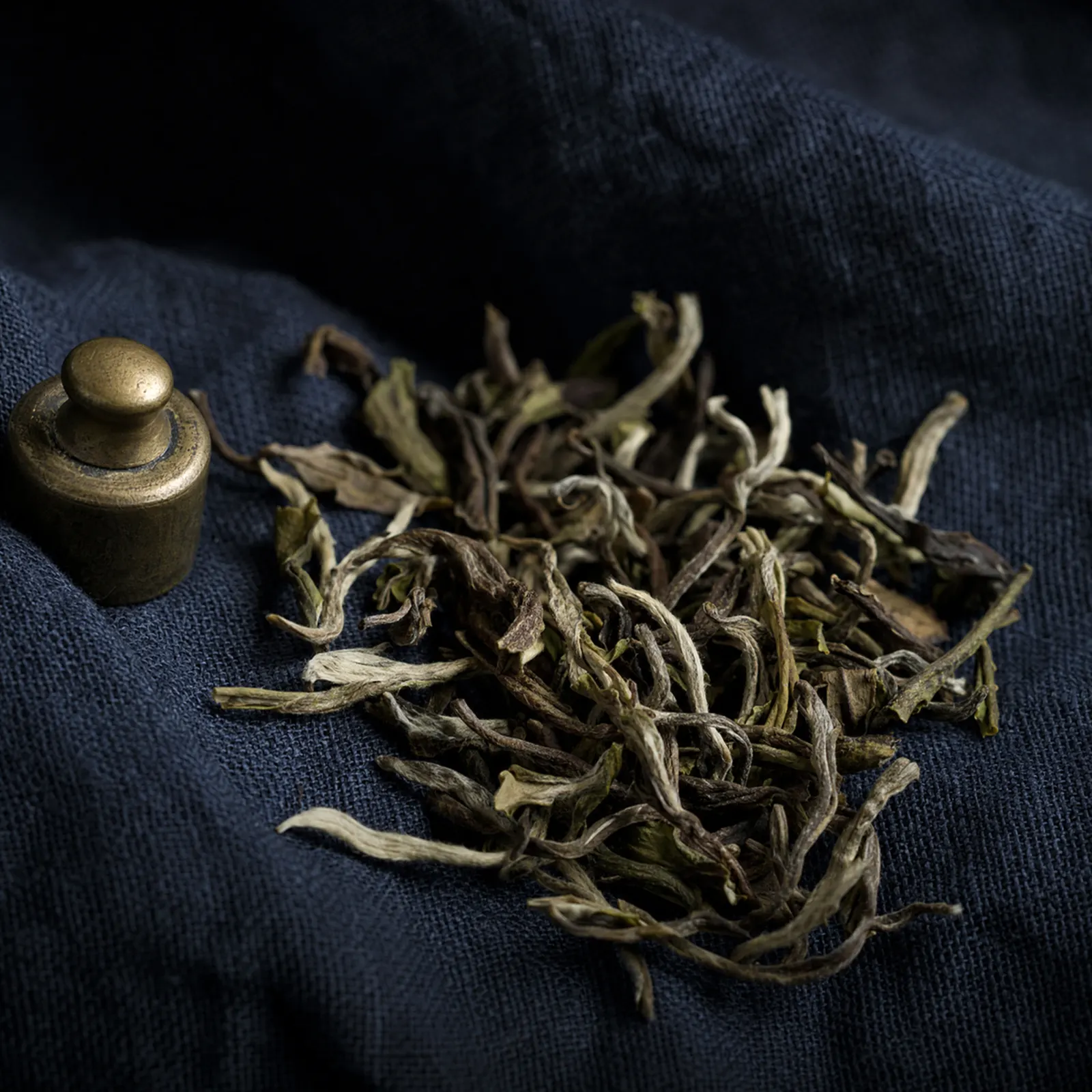 Loose Spring Clonal Black leaf